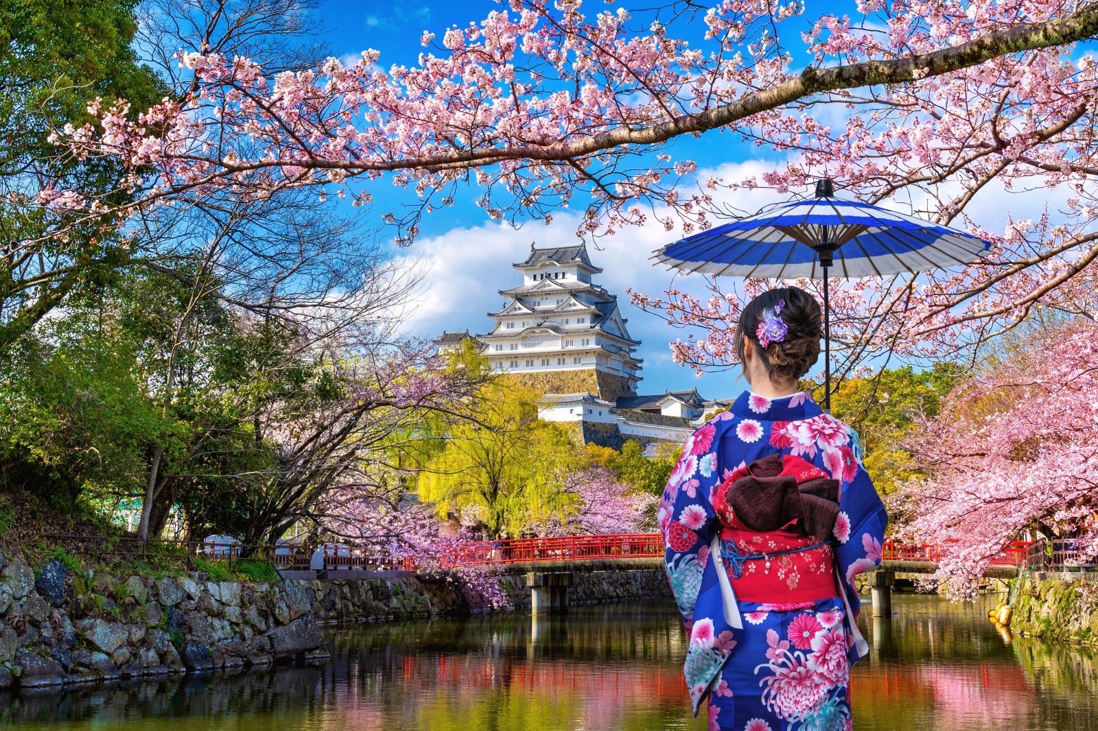 Tokyo|*|Kyoto|*|Osaka|*|Hiroshima ve Miyajima |*|Nara|*|Hakone ve Fuji Dağı|*|Kanazawa|*|Takayama|*|Kobe|*|Okinawa|*|Sapporo|*|Hokkaido