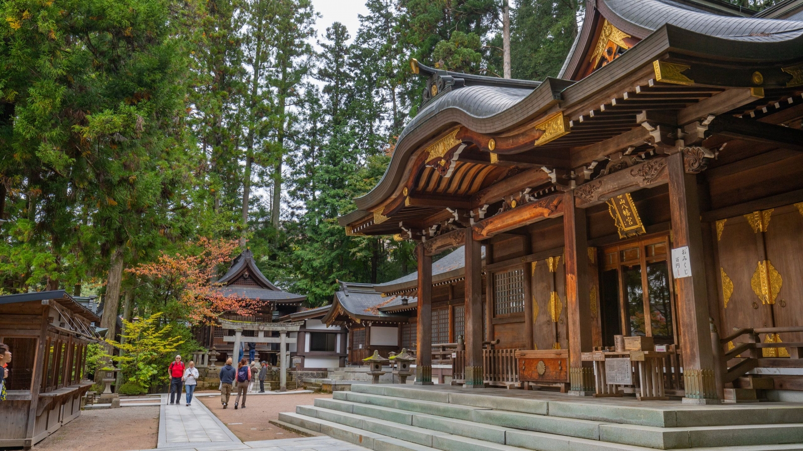 Tokyo|*|Kyoto|*|Osaka|*|Hiroshima ve Miyajima |*|Nara|*|Hakone ve Fuji Dağı|*|Kanazawa|*|Takayama|*|Kobe|*|Okinawa|*|Sapporo|*|Hokkaido