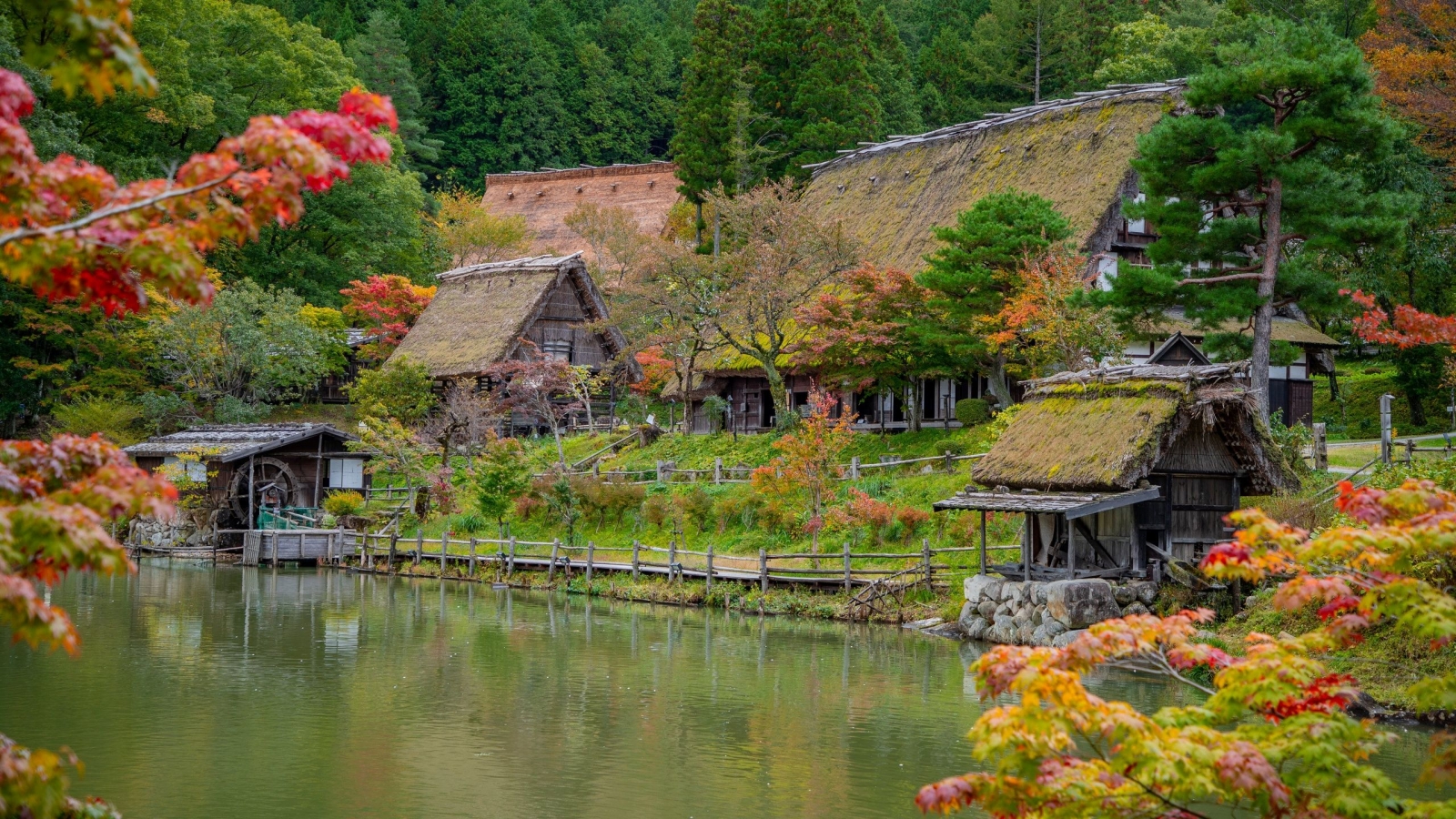 Japonya 