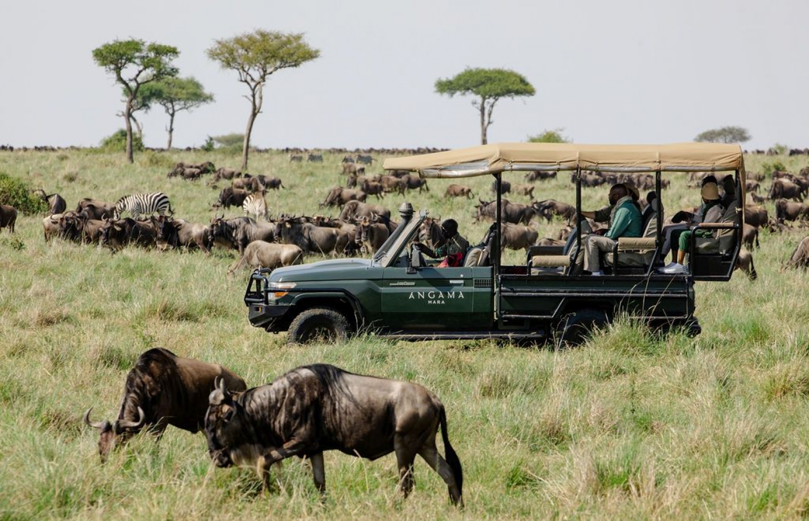 Kenya’da Safari, Konfor ve Vahşi Doğa Bir Arada 