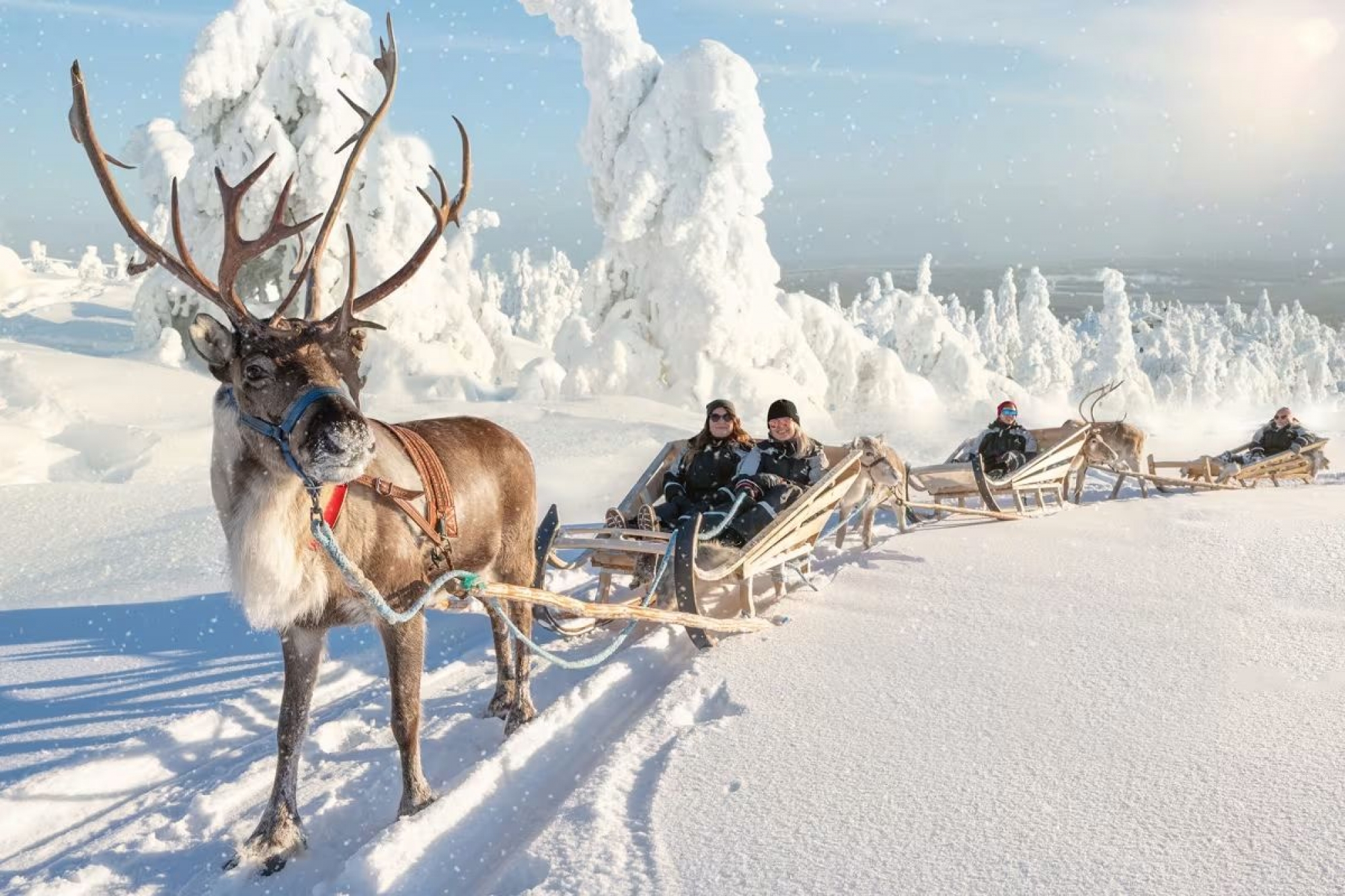  25-29 Ocak Lapland Masalı (Uçak Dahil)
