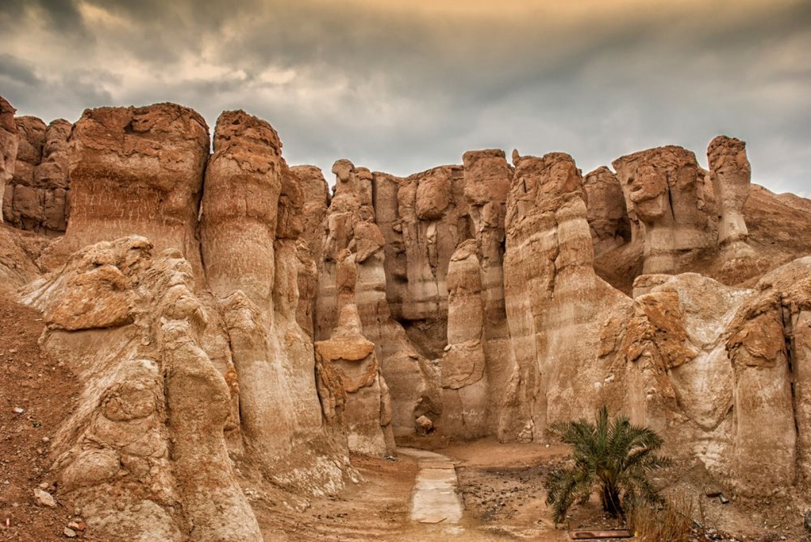 Al Ula |*|Cidde |*|Al Ahsa|*|Dammam|*|Medine|*|Taif 