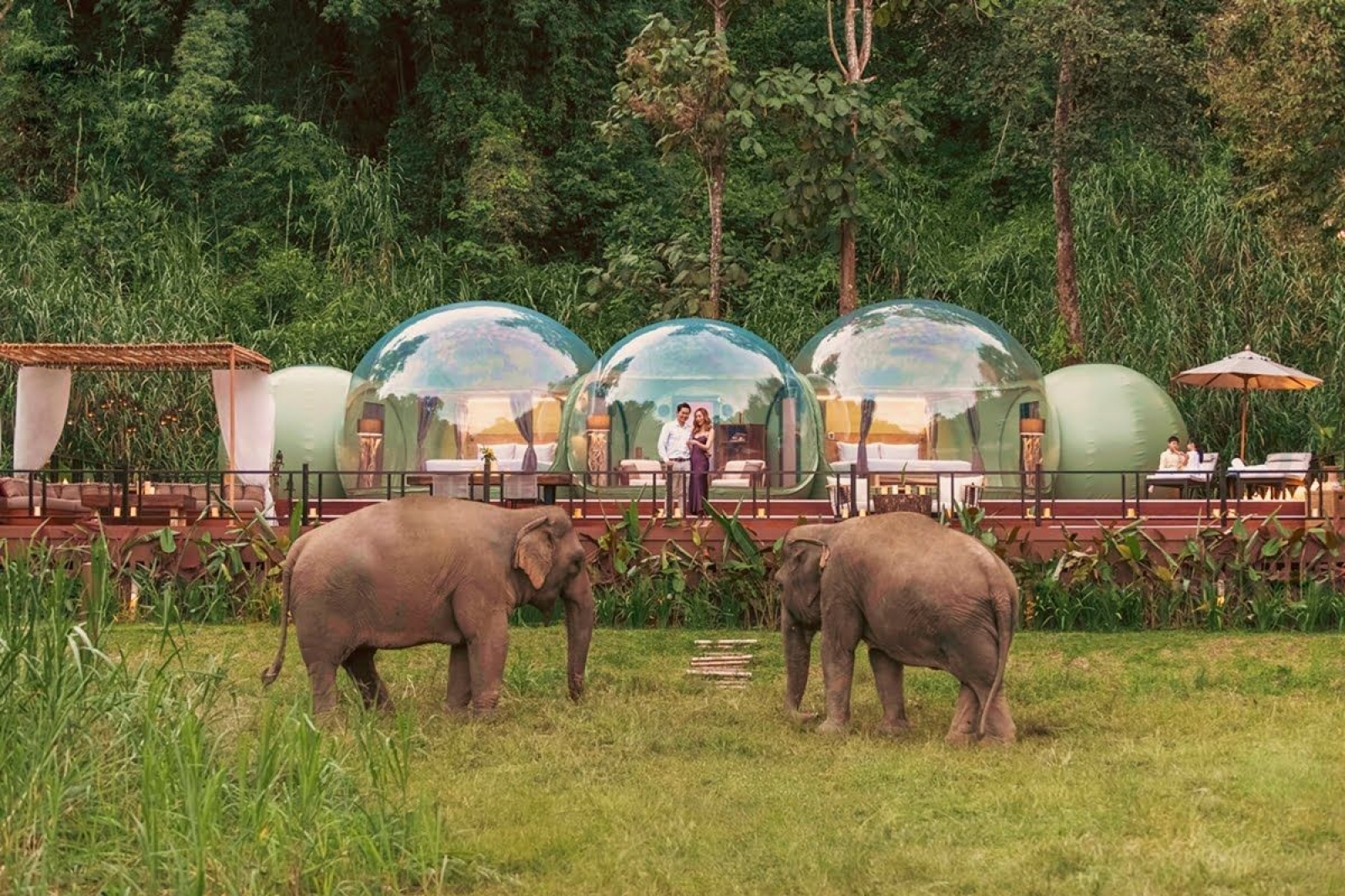 Bangkok|*|Chiang Mai|*|Chiang Rai |*|Mae Hong Son|*|Sukhothai|*|Kanchanaburi ve Kwai Köprüsü|*|Doi Angkhang|*|Koh Samet|*|Phuket|*|Koh Samui |*|Krabi |*|Khao Yai Ulusal Parkı|*|Ayutthaya 