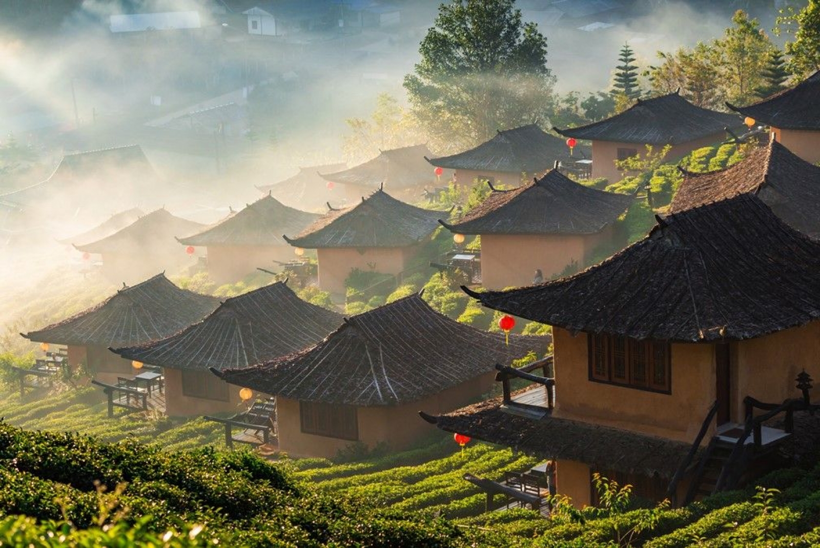 Bangkok|*|Chiang Mai|*|Chiang Rai |*|Mae Hong Son|*|Sukhothai|*|Kanchanaburi ve Kwai Köprüsü|*|Doi Angkhang|*|Koh Samet|*|Phuket|*|Koh Samui |*|Krabi |*|Khao Yai Ulusal Parkı|*|Ayutthaya 