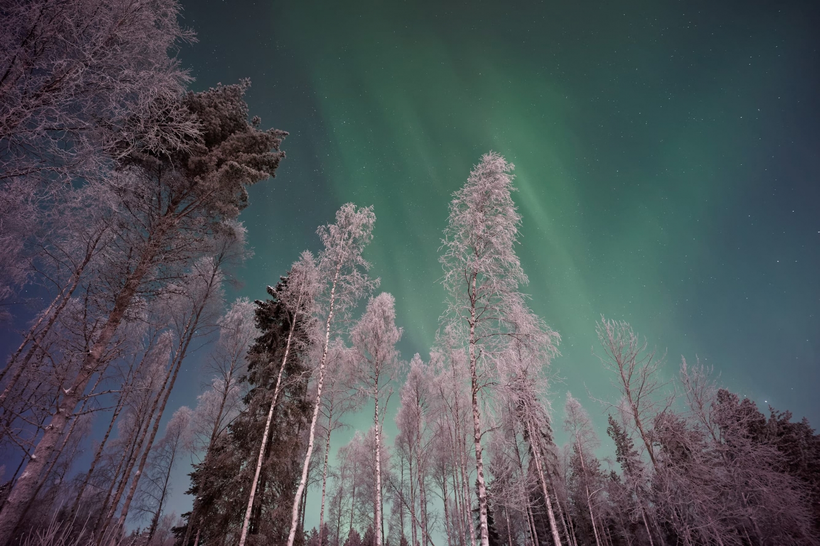 Lapland - Finlandiya