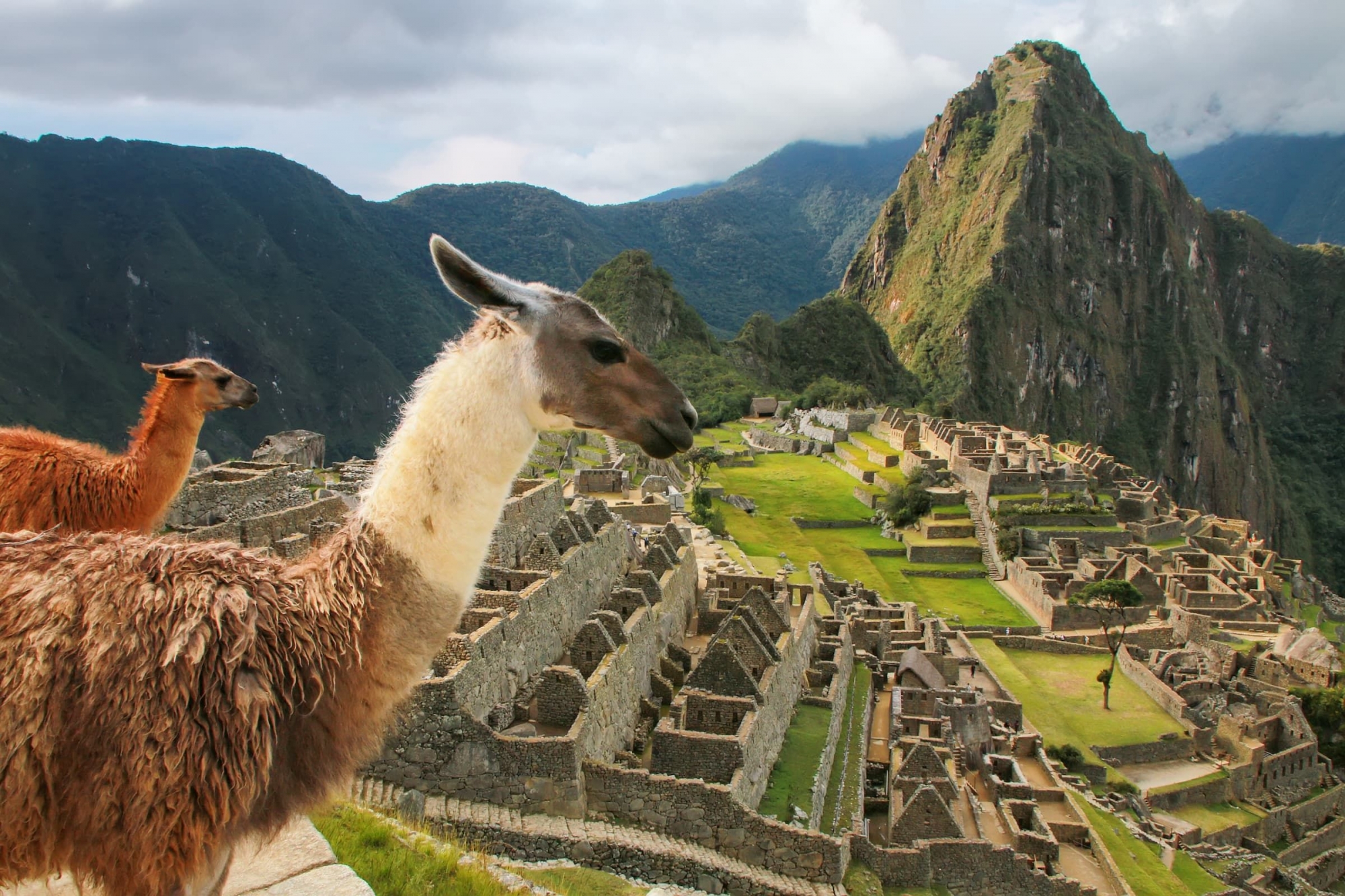 Peru